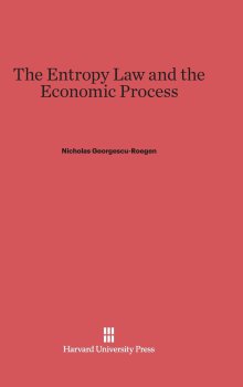 Georgescu-Roegen on why ‘most of the time all of us talk some nonsense’