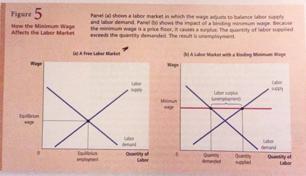 Economism—or vulgar economics