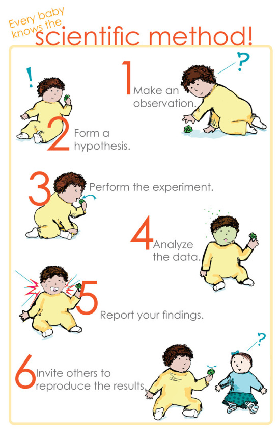 Why economists don’t know what every baby knows about scientific methods
