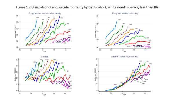 Deaths of Despair. The Case/Deaton paper about mortality of White Americans. Some remarks.