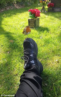 Mother whose son, four, died from a brain tumour is amazed to be followed around his grave by a robin after asking for a sign from him