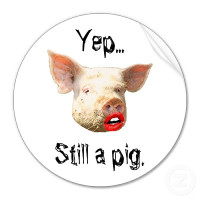 Putting sticky-price DSGE lipstick on the RBC pig