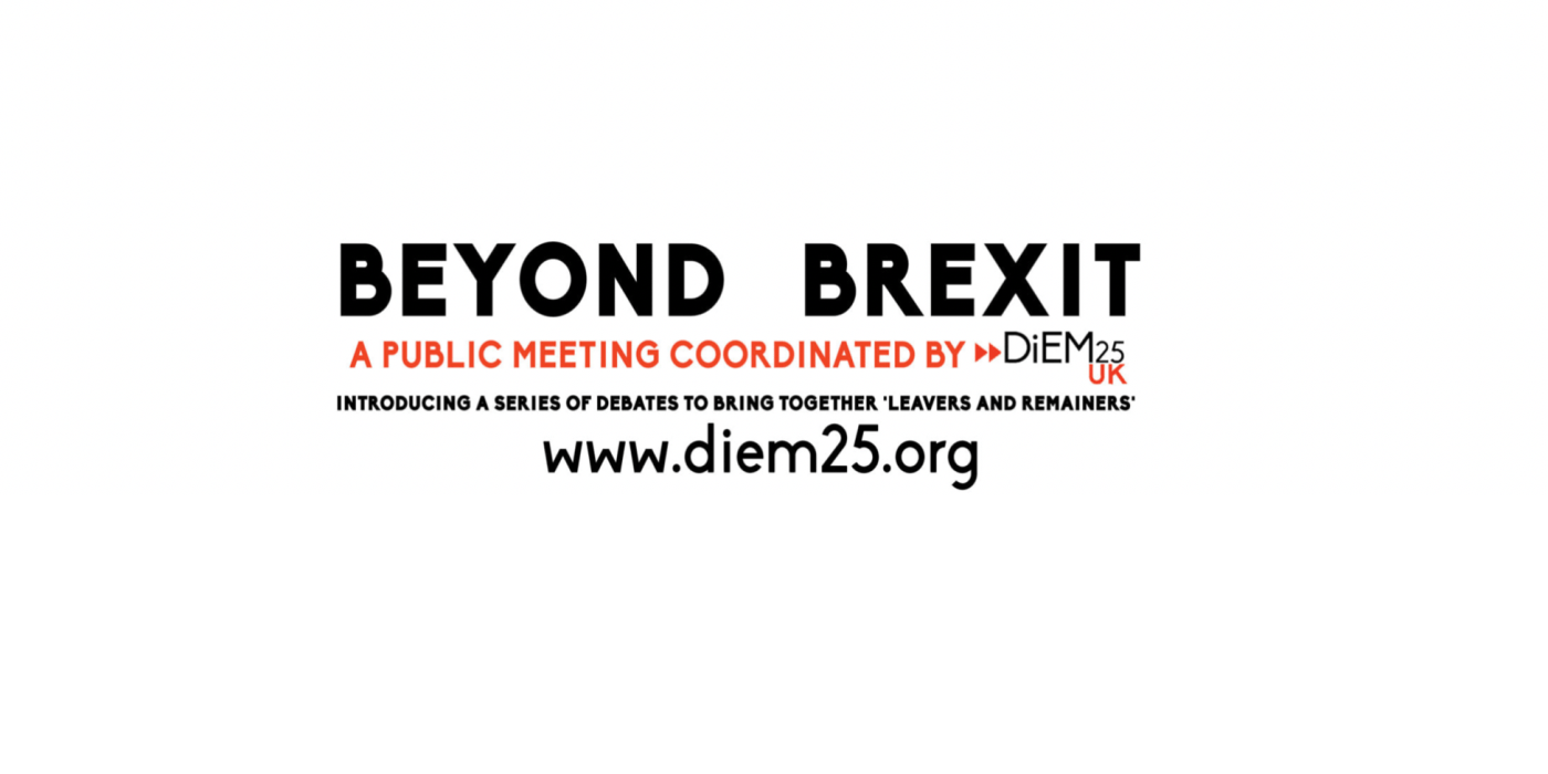 DiEM25 and the European Parliament election in the UK: A proposal