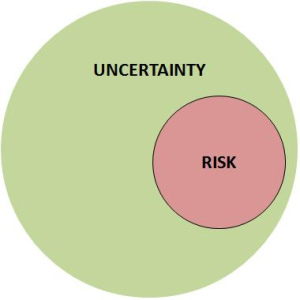 Uncertainty in economics