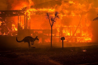 The World has never seen anything like it : Australia’s summer of fire