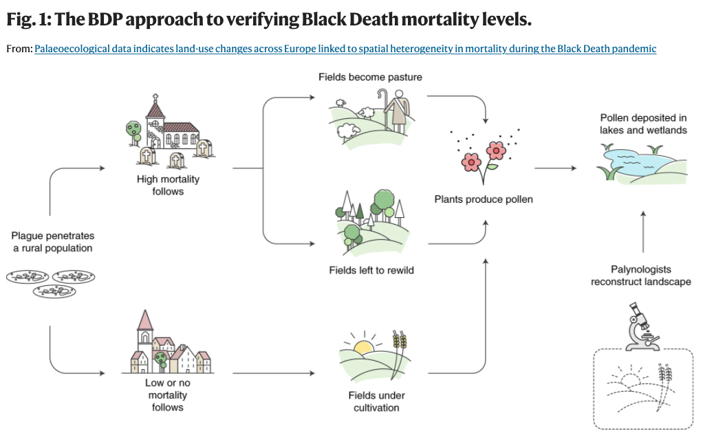 Advances in plague research