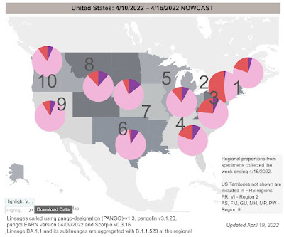 Coronavirus dashboard for April 20: there’s a new subvariant in town