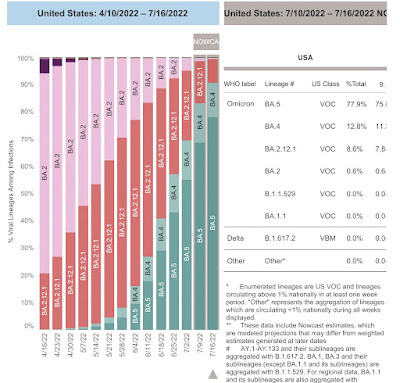 Coronavirus dashboard for July 22: the BA.4&5 wavette Peaked?