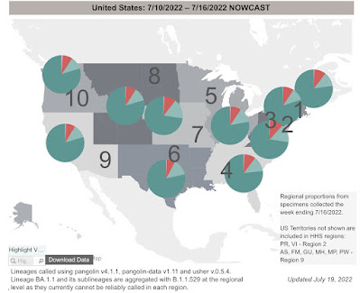 Coronavirus dashboard for July 22: the BA.4&5 wavette Peaked?