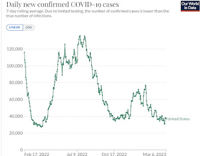 Coronavirus dashboard: the first year of COVID endemicity