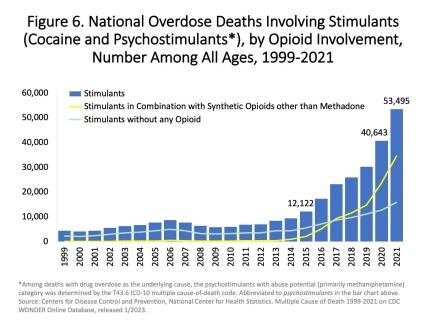 Drug Overdose Death Rates in the US