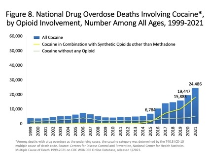 Drug Overdose Death Rates in the US