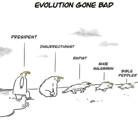 The Results of Bad Evolution